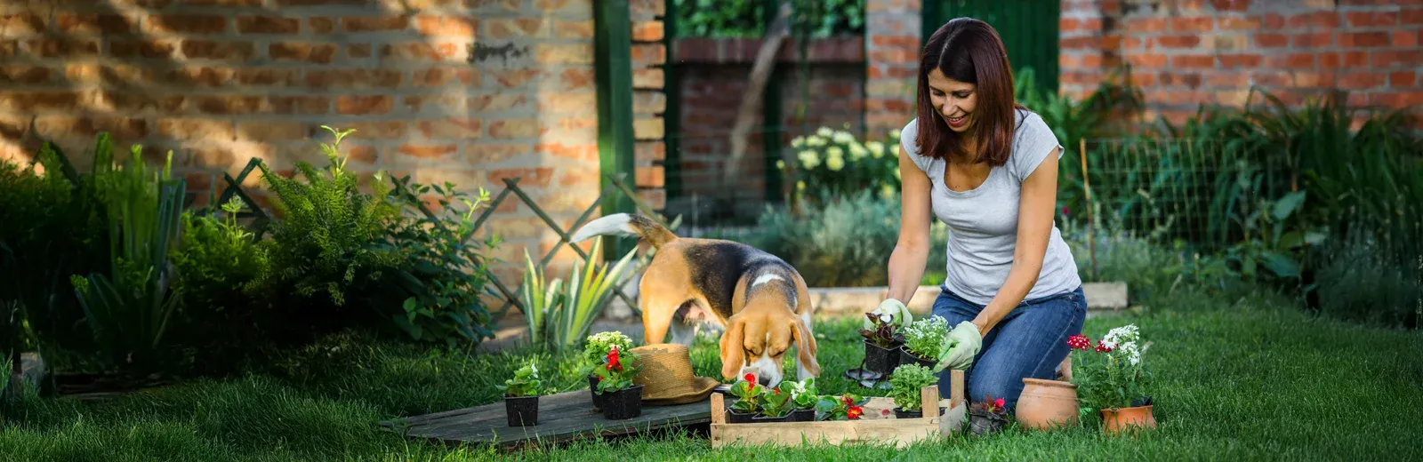 woman gardening outside with her dog